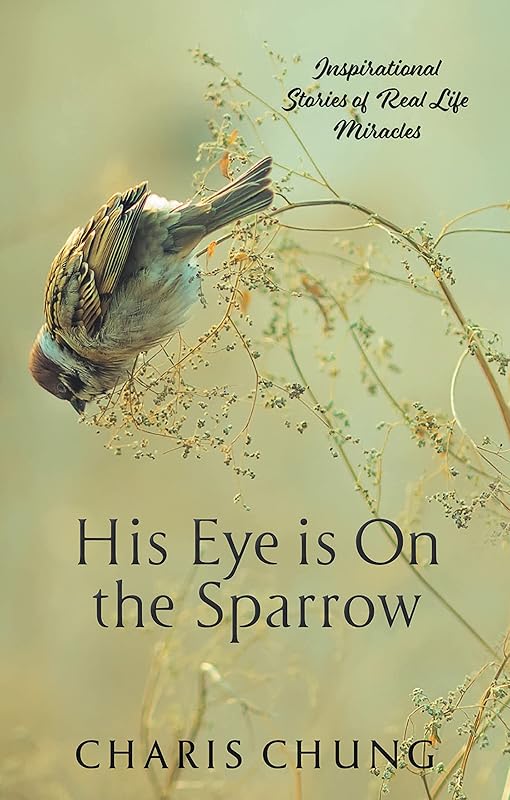 His Eye Is on the Sparrow: Inspirational Stories of Real Life Miracles by Charis Chung