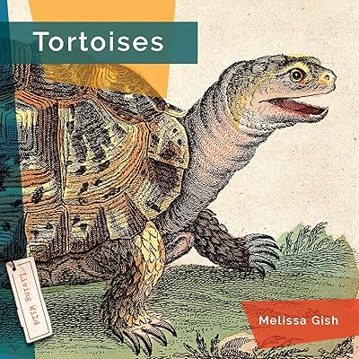 Tortoises (Living Wild)