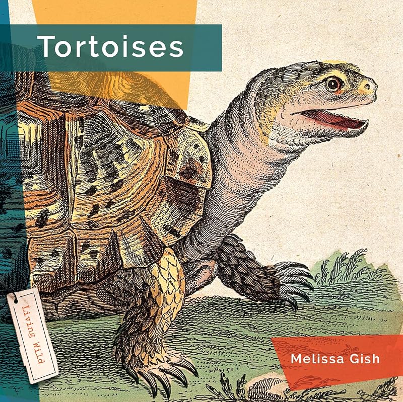 Tortoises (Living Wild) by Melissa Gish