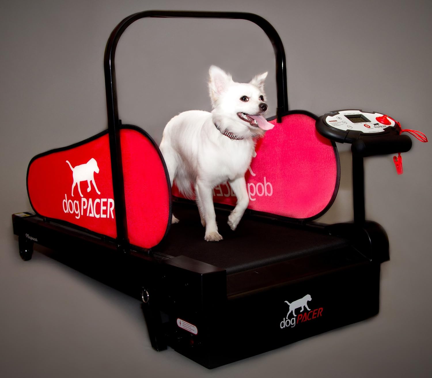 Best Dog Treadmills Reviews of 5 Good (& SAFE) Options