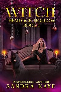 Witch: Hemlock Hollow book one by Sandra Kaye