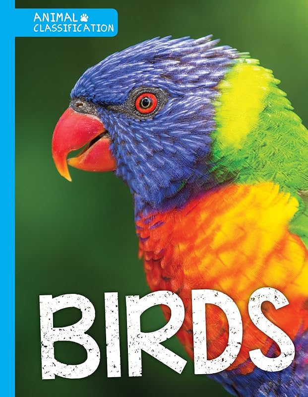 Birds (Animal Classification) by Charlie Ogden