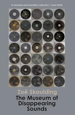 The Museum of Disappearing Sounds