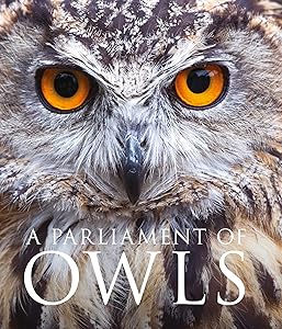 Parliament of Owls