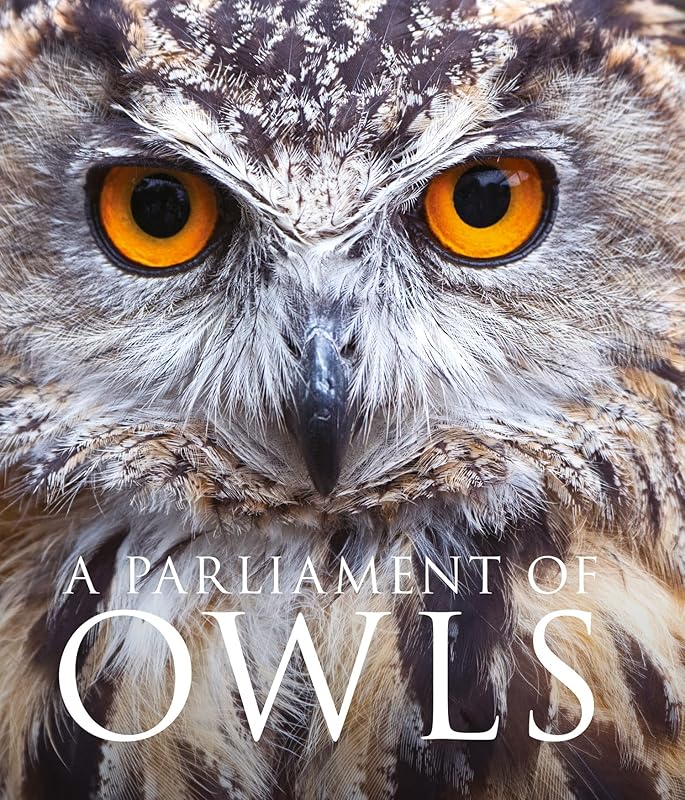 Parliament of Owls by Mike Unwin