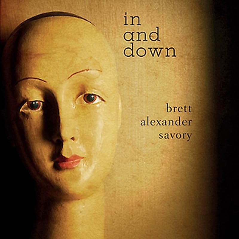 In and Down by Brett Alexander Savory