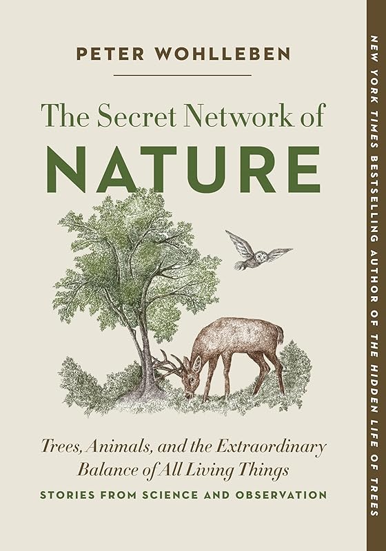 The Secret Network of Nature: Trees, Animals, and the Extraordinary Balance of All Living Things― Stories from Science and Observation (The Mysteries of Nature, 3) by Peter Wohlleben