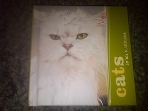 Cats: Antics & Attitudes