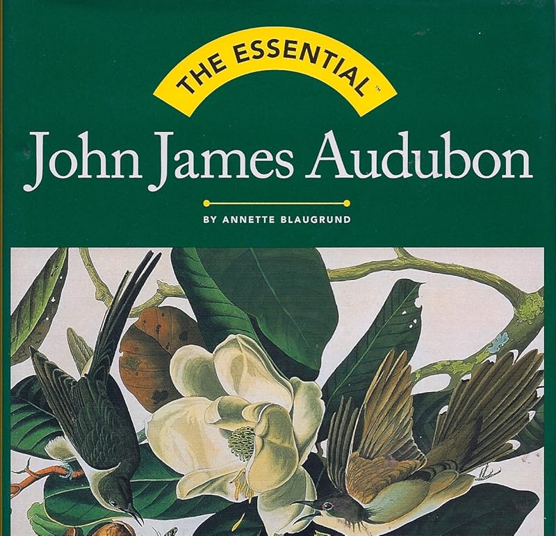 The Essential: John James Audubon (Essentials) by Annette Blaugrund