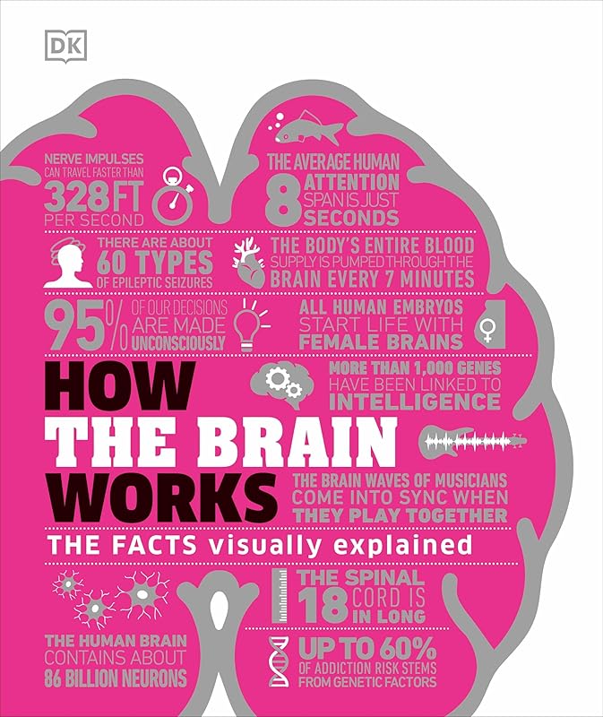 How the Brain Works: The Facts Visually Explained (DK How Stuff Works) by DK