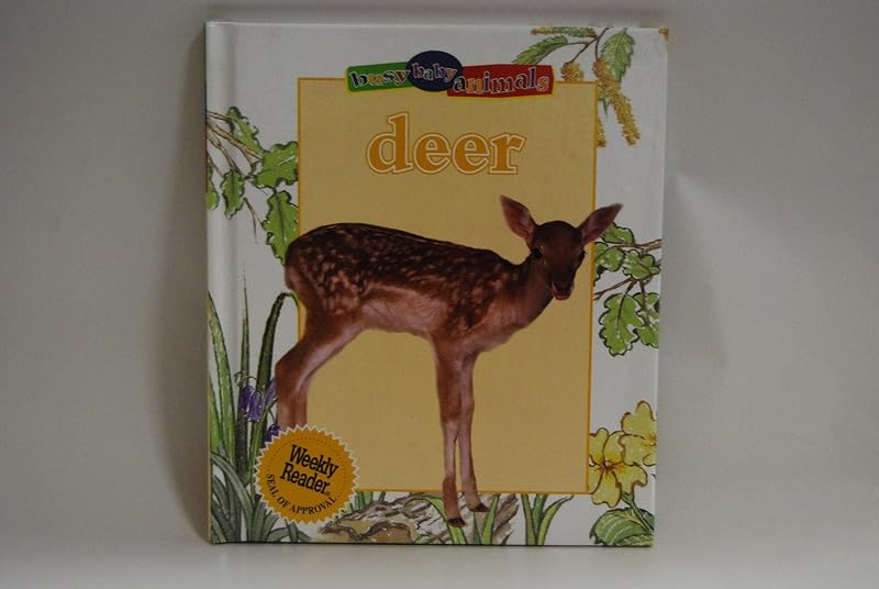 Deer (Busy Baby Animals) by Jinny Johnson