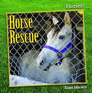 Horse Rescue (Horses)