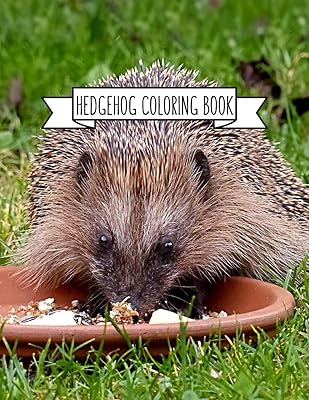 Hedgehog Coloring Book: Hedgehog Lover Gifts for Toddlers, Kids or Adult Relaxation | Cute Stress Relief Animal Birthday Coloring Book Made in USA