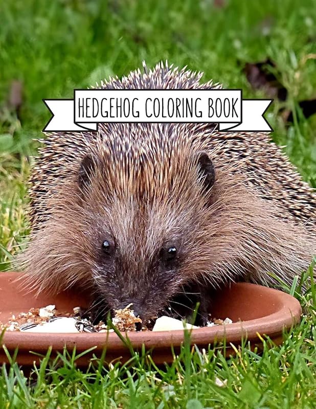 Hedgehog Coloring Book: Hedgehog Lover Gifts for Toddlers, Kids or Adult Relaxation | Cute Stress Relief Animal Birthday Coloring Book Made in USA by Shayne Coloring Book