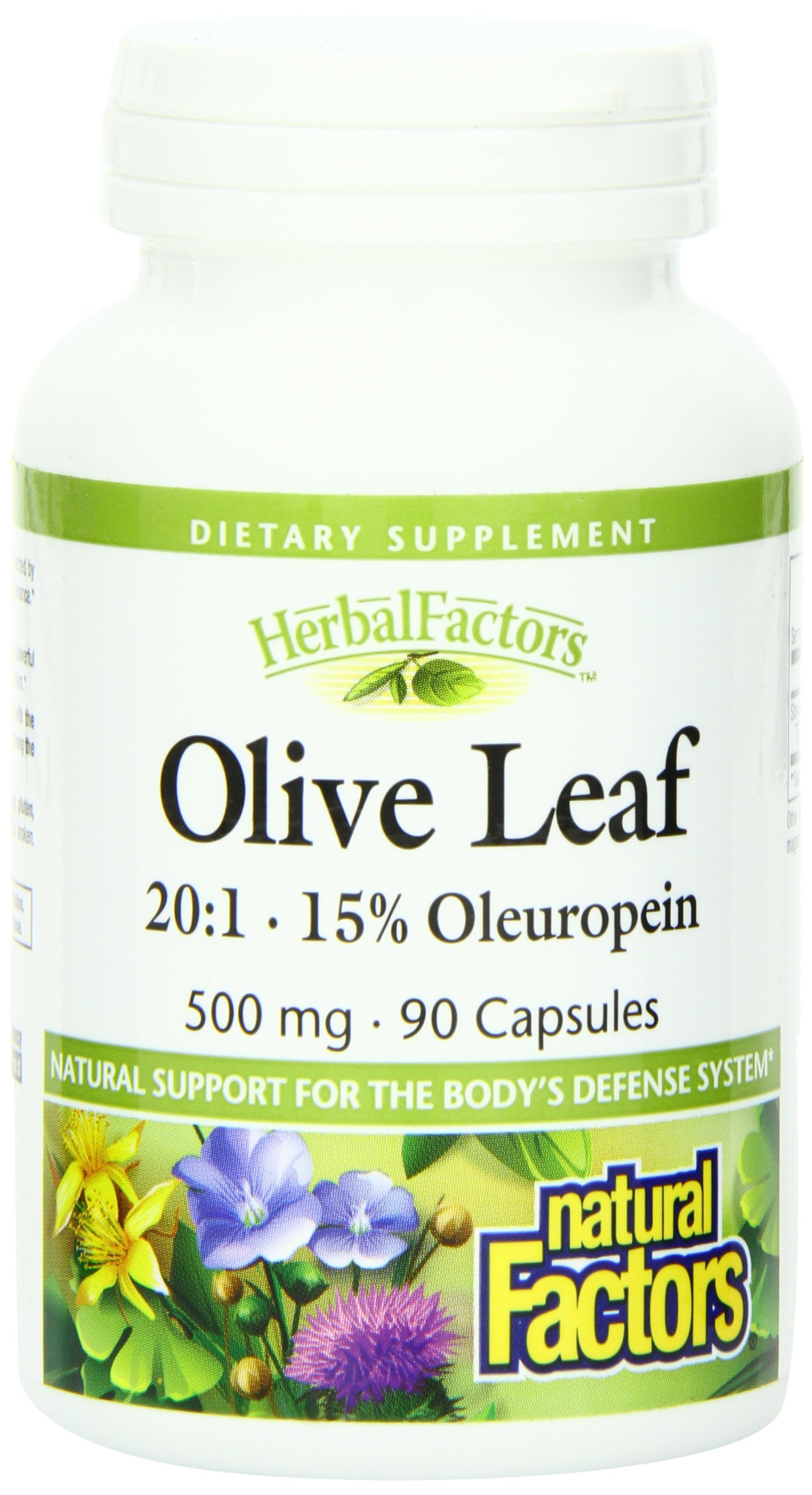 natural factors olive leaf extract 500mg capsules, 90-count