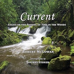 Current: Essays on the Passing of Time in the Woods by Robert McGowan