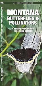 Montana Butterflies & Pollinators: A Folding Pocket Guide to Familiar Species (Pocket Naturalist Guide)