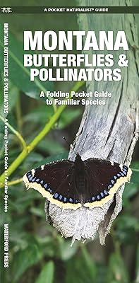 Montana Butterflies & Pollinators: A Folding Pocket Guide to Familiar Species (Pocket Naturalist Guide)