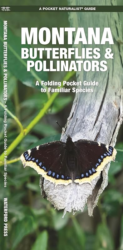 Montana Butterflies & Pollinators: A Folding Pocket Guide to Familiar Species (Pocket Naturalist Guide) by James Kavanagh Waterford Press