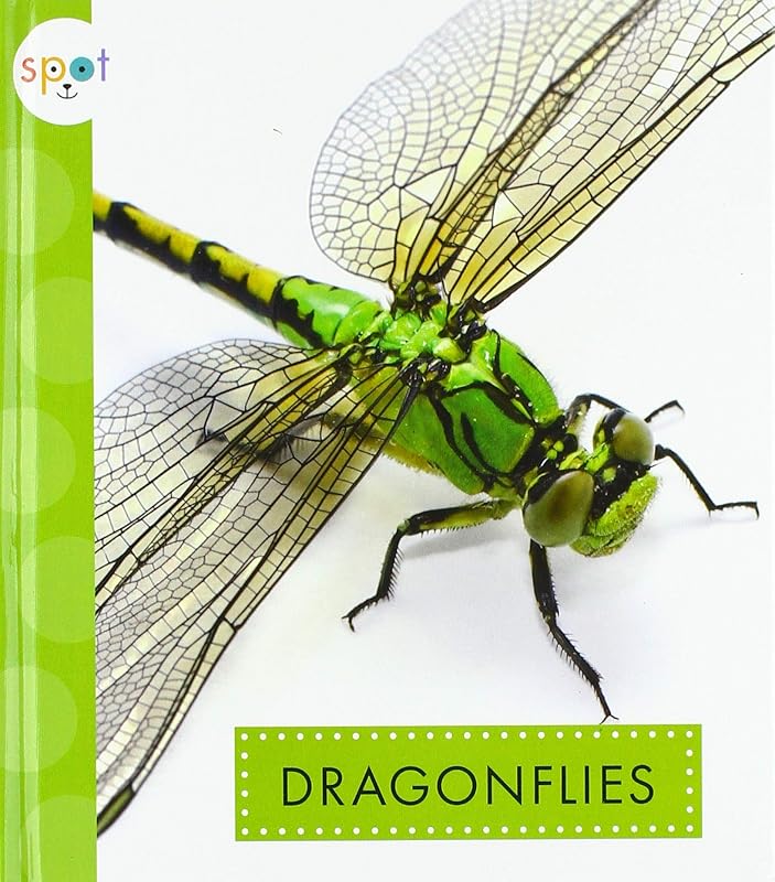 Dragonflies (Spot Creepy Crawlies) by Nessa Black