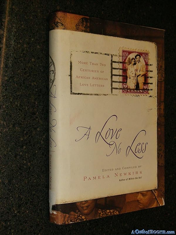 A Love No Less: Two Centuries of African American Love Letters by Pamela Newkirk