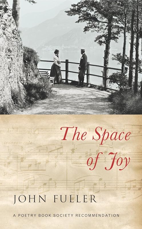 The Space of Joy by John Fuller