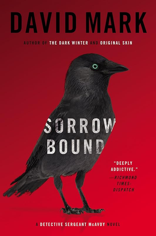 Sorrow Bound (Detective Sergeant McAvoy Book 3) by David Mark