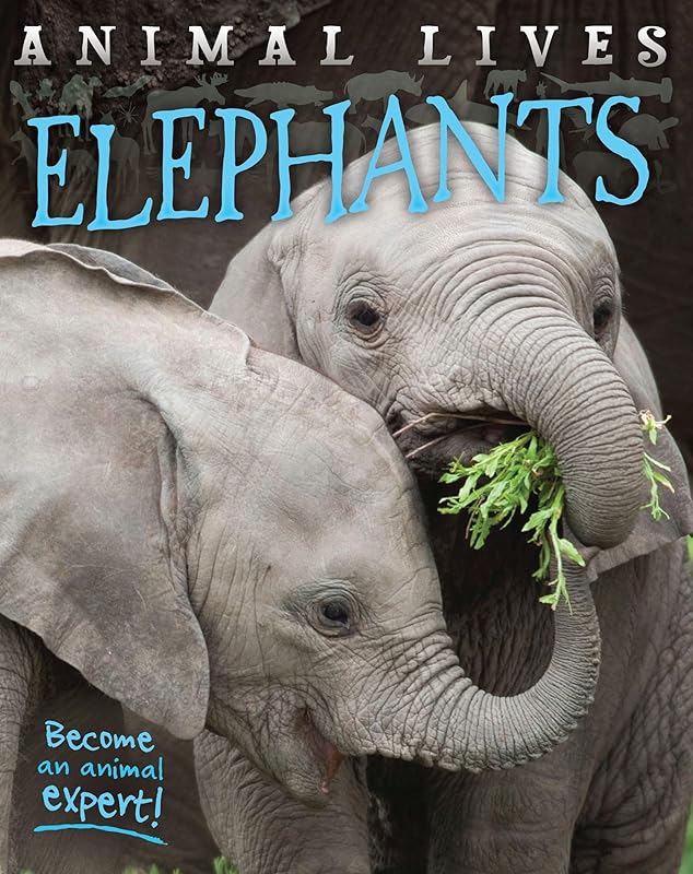 Elephants (Animal Lives) by Sally Morgan