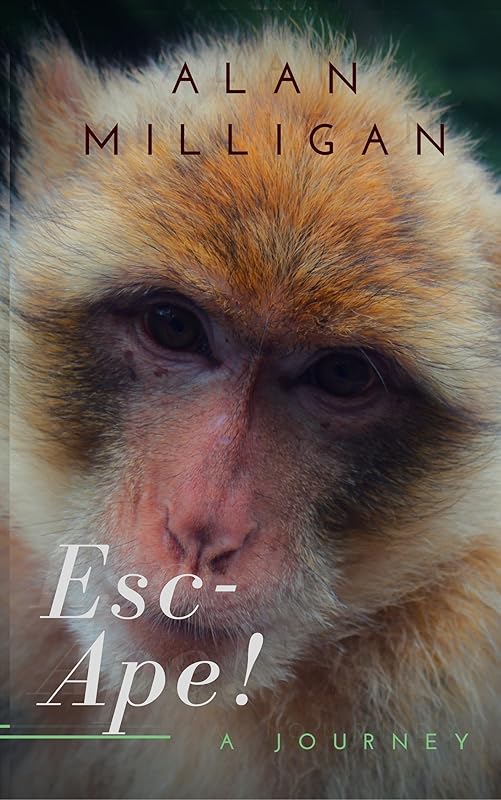 ESC-APE!: A Journey by Alan Milligan