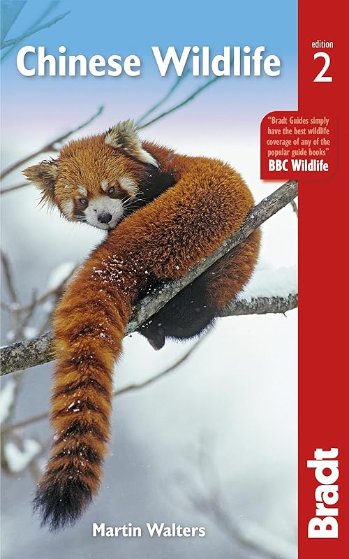 Chinese Wildlife (Bradt Travel Guides (Wildlife Guides)) by Martin Walters