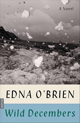 Wild Decembers: A Novel
