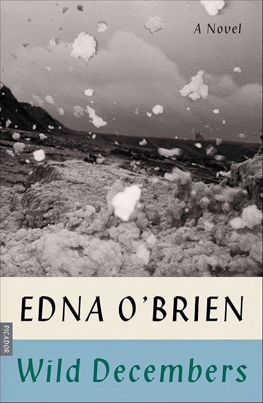 Wild Decembers: A Novel by Edna O'Brien