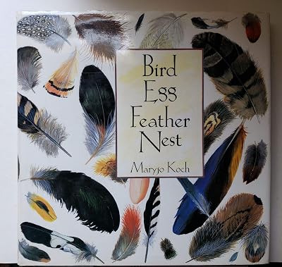 BIRD EGG FEATHER NEST