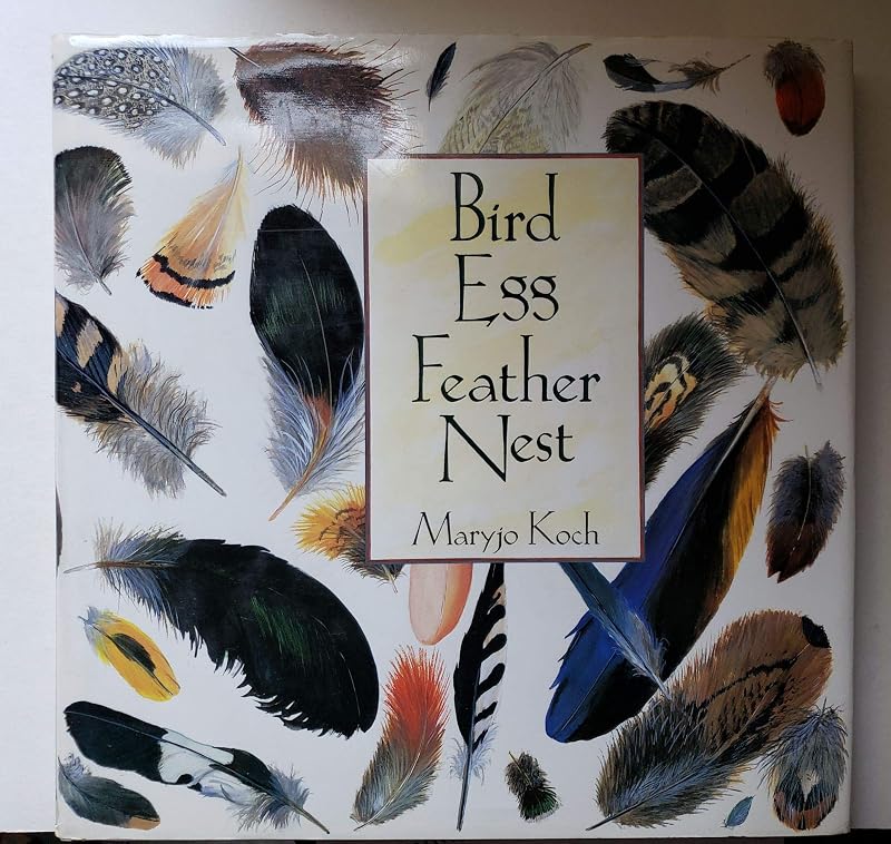 BIRD EGG FEATHER NEST by MaryJo Koch