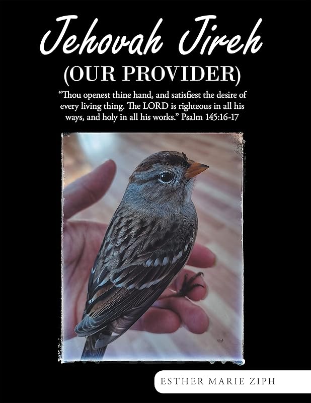 Jehovah Jireh (Our Provider) by Esther Marie Ziph