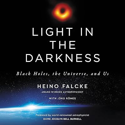 Light in the Darkness: Black Holes, the Universe, and Us