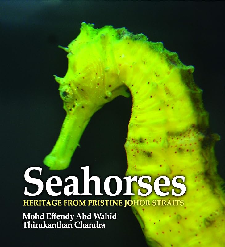 SEAHORSES HERITAGE FROM PRISTINE JOHOR STRAITS by Mohd Effendy Abd Wahid