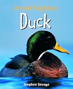 Duck (Animal Neighbors)