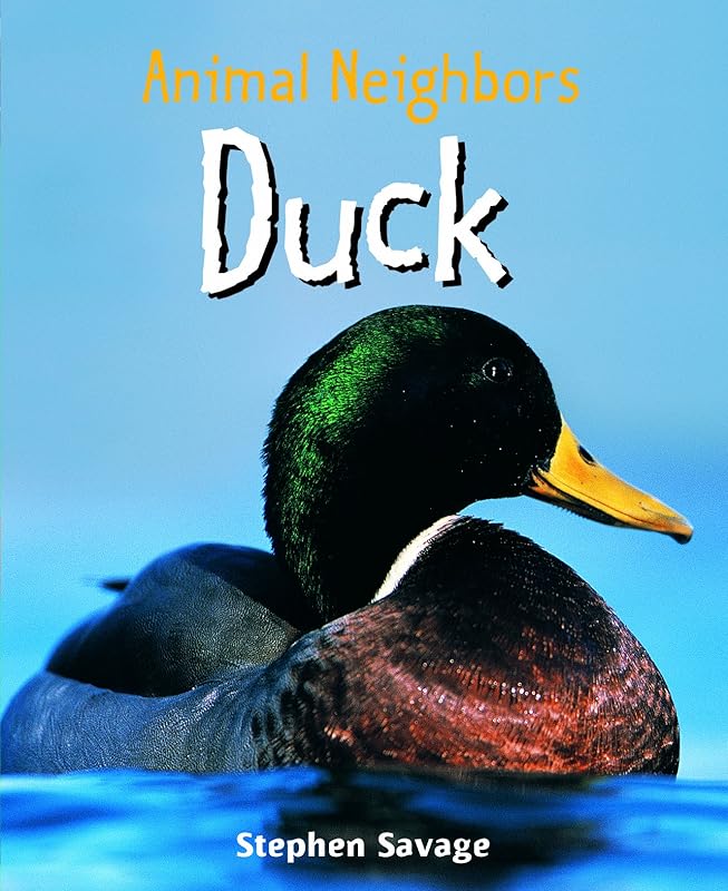 Duck (Animal Neighbors) by Stephen Savage