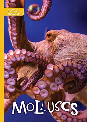 Molluscs (Animal Classification)