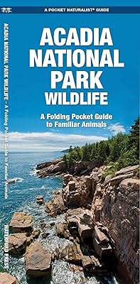 Acadia National Park Wildlife: A Folding Pocket Guide to Familiar Animals (Wildlife and Nature Identification)