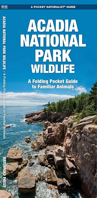 Acadia National Park Wildlife: A Folding Pocket Guide to Familiar Animals (Wildlife and Nature Identification) by James Kavanagh Waterford Press