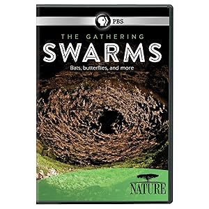 Nature: The Gathering of Swarms