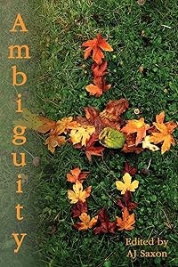 Ambiguity by AJ J Saxon