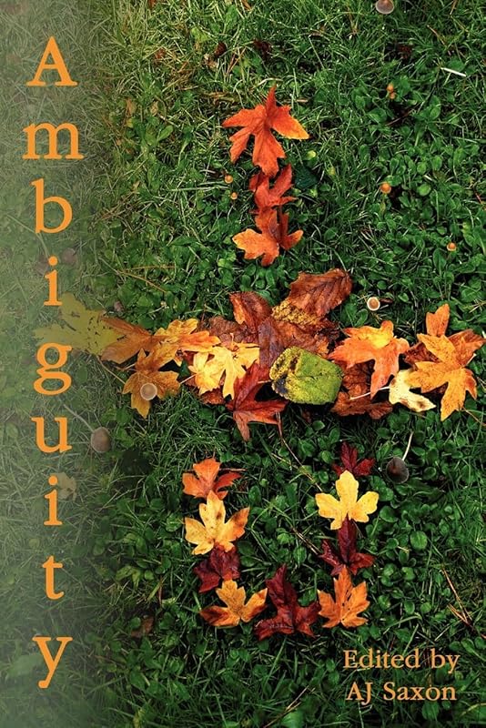 Ambiguity by AJ J Saxon