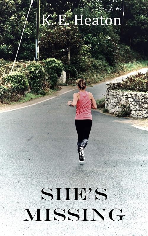 She's Missing by K.E. Heaton
