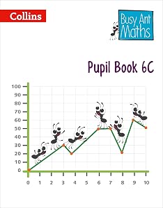 Pupil Book 6C (Busy Ant Maths) by Jeanette Mumford