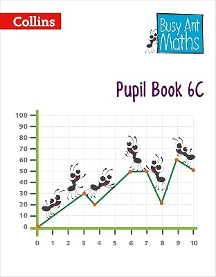 Pupil Book 6C (Busy Ant Maths)
