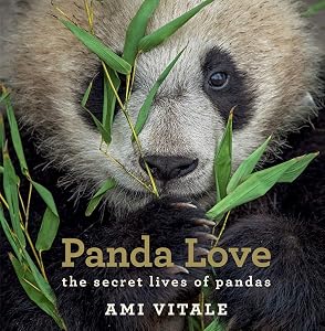 Panda Love: The Secret Lives of Pandas by Ami Vitale