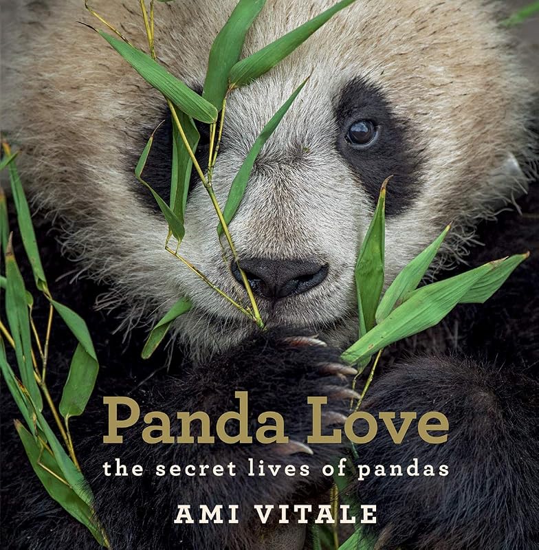 Panda Love: The Secret Lives of Pandas by Ami Vitale